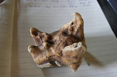 Bi an la lung ve tui bua thieng xu Muong-Hinh-2