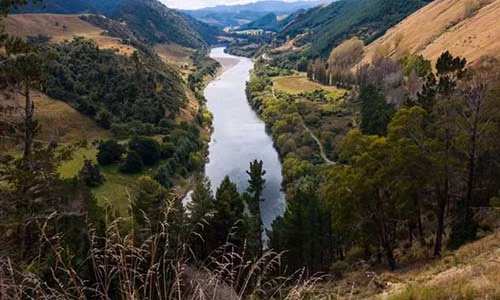 Dong song dau tien tren the gioi duoc doi xu nhu nguoi