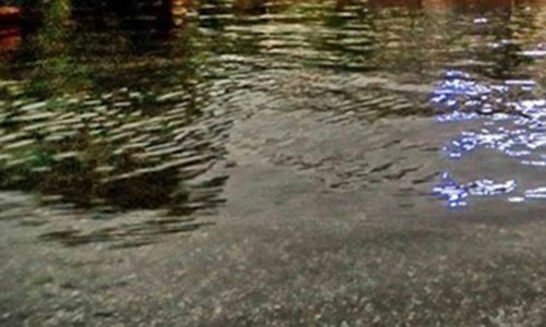 Vo U60 cay khoe de chong ngat nuoc den chet