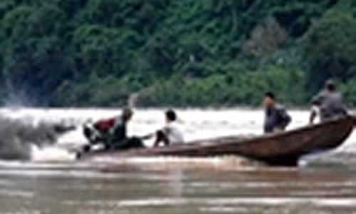 “Son gai oc” thuy quai song Da an thit nguoi