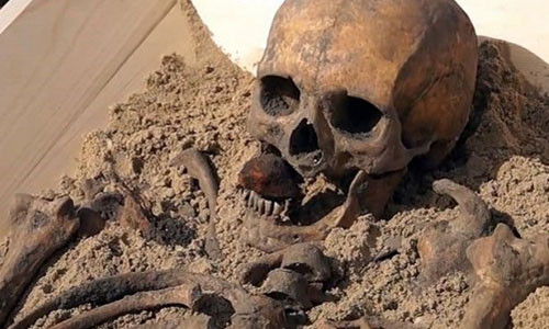 Tan muc bo xuong cua ma ca rong cach day 500 nam