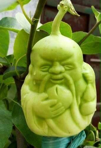 Su that kinh di dua le than tai Trung Quoc-Hinh-5