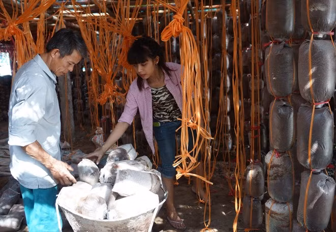 Tu nguoi lam thue tro thanh ong chu nho trong nam-Hinh-2