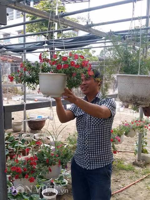 Thue dat trong hoa “mini”, kiem 10 trieu dong/thang-Hinh-2