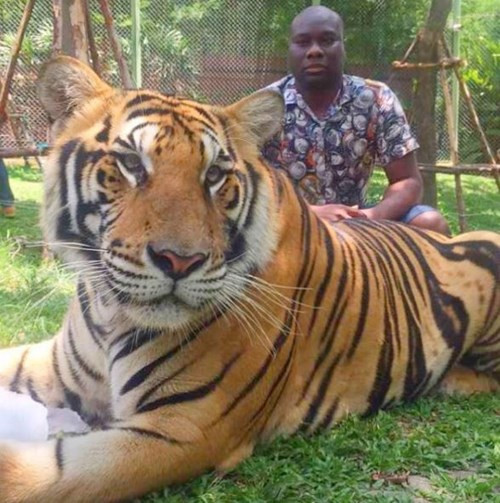 Đến thú cưng cũng không giống người thường.