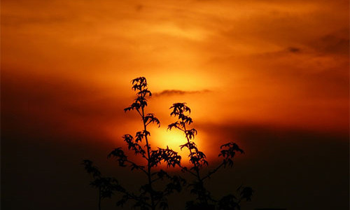 7 doc chieu phong thuy hut tai loc khong the xem thuong