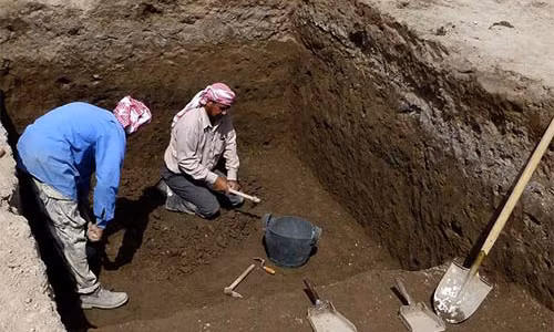 Các nhà khảo cổ học tích cực với công việc khai quật.