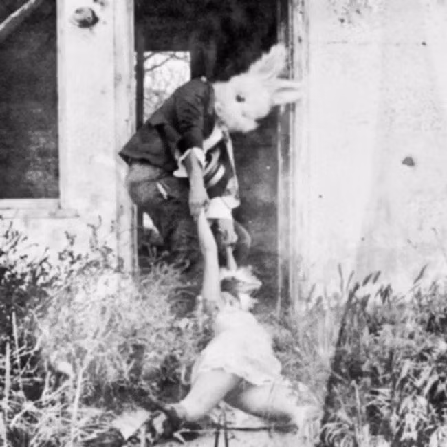 Dẫu là dàn dựng hay hình ảnh thật, đó cũng là một tội ác ghê người.