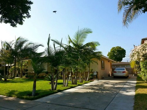 Ca sĩ Quang Lê: Ngôi nhà của Quang Lê ở California có cả khu vườn rộng ở cả sân trước và sau để trồng đủ loại cây trái Việt. Ảnh FBNV