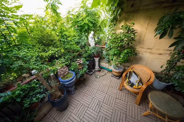 Tầng cây đầu tiên bắt đầu từ góc ban công nhà.