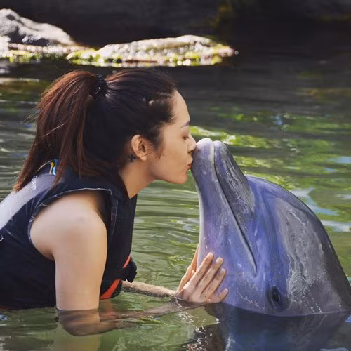 Nữ ca sĩ không ngần ngại tặng cho chú cá heo thân thiện một nụ hôn.