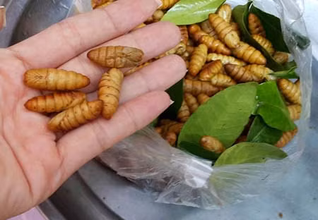 Kinh hai nhong tam ngam nuoc truong phinh len ban nhau-Hinh-2