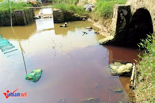 Vì dòng nước thải này xả thẳng ra ruộng đồng nên việc làm đồng áng của bà con bị ảnh hưởng, có nguy cơ mắc các bệnh ngoài da như: chân tay đều nổi mẩn ngứa, lở loét và bỏng rát. Chị Hoa, người thường xuyên làm đồng ở đây cho biết: Giờ ra đồng mà không đi ủng và găng tay vào thì chân tay sẽ nổi lên những chấm đỏ nhỏ, ngứa rất khó chịu. Càng làm đồng lâu thì các vết mẩn ngứa sẽ nhiều lên và lan rộng... Theo lời chị Hoa, việc đi ủng và găng tay khiến nhiều nông dân khó chịu và làm việc không hiệu quả nên họ bắt buộc phải để chân trần. Thay vì niềm vui khi lao động sản xuất thì trên gương mặt của mỗi người nông dân Lũng Vị đều hiện lên những nếp nhăn của sự lo âu, thấp thỏm.