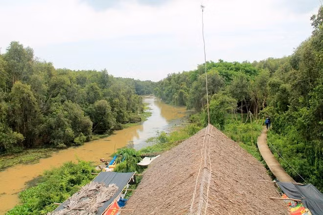 Có nhiều cách để di chuyển đến Tân Lập, nhưng dễ và thuận tiện nhất là đi theo Quốc lộ 62 từ thành phố Tân An hướng về Mộc Hóa. Trên đường đi, nếu cảm thấy xa, bạn hãy hỏi người dân đường về Mộc Hóa, từ đó cứ di chuyển, sẽ thấy rừng Tân Lập bên tay trái. Đừng hỏi rừng tràm Tân Lập ở đâu, vì nhiều người dân không biết địa danh này.