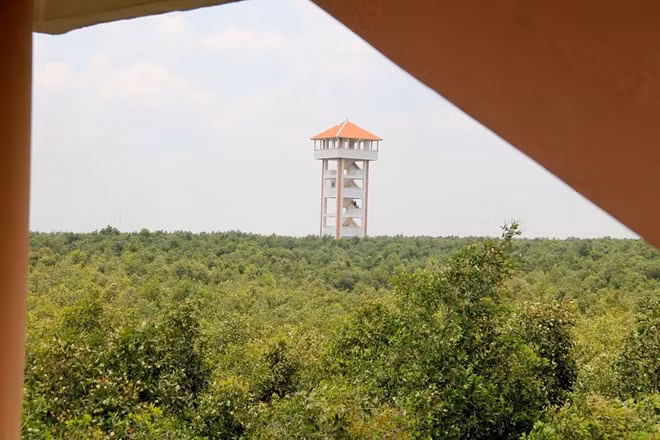 Xa xa là tòa tháp canh đầu tiên, góc nhìn từ tòa tháp thứ hai.