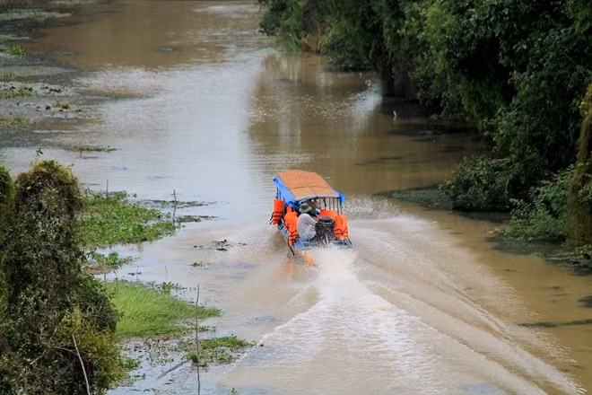 Rừng tràm Tân Lập hay còn gọi là làng nổi Tân Lập thuộc huyện Mộc Hóa, tỉnh Long An, cách TP.HCM khoảng 120 km. Nơi đây là điểm đến thú vị cho du khách vào mỗi dịp cuối tuần bởi không gian trong lành, ẩm thực hấp dẫn, và chi phí hợp lý.
