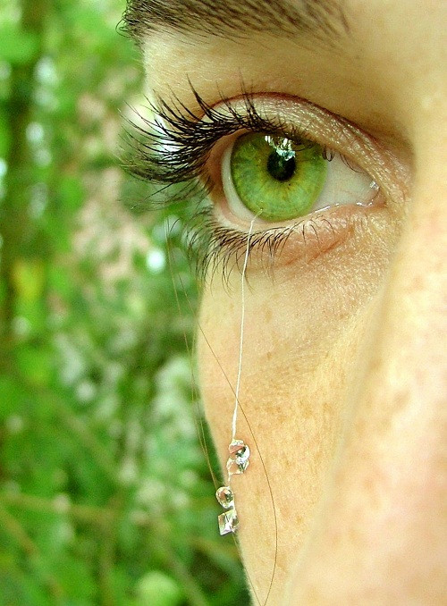 Nhưng khi phát hiện những viên đá kia được đính từ chính tròng mắt cũng khiến bạn lạnh tóc gáy.