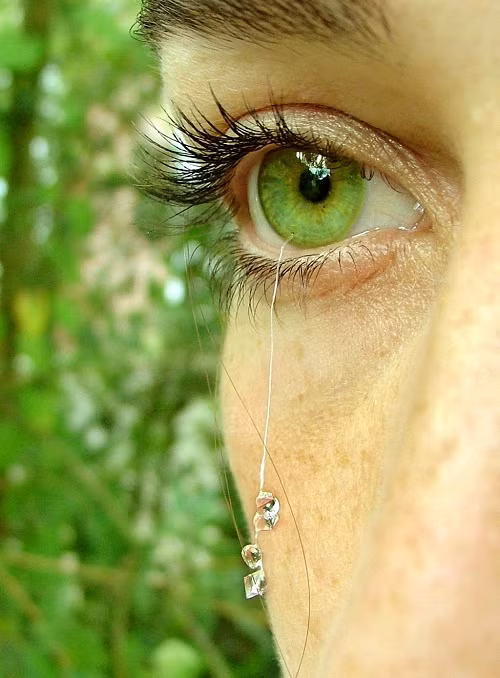 Nhưng khi phát hiện những viên đá kia được đính từ chính tròng mắt cũng khiến bạn lạnh tóc gáy.