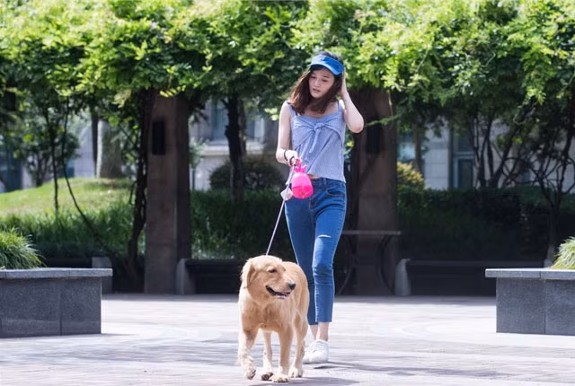 14. Phụ nữ có sức hấp dẫn với đàn ông hơn khi họ dắt theo chó.