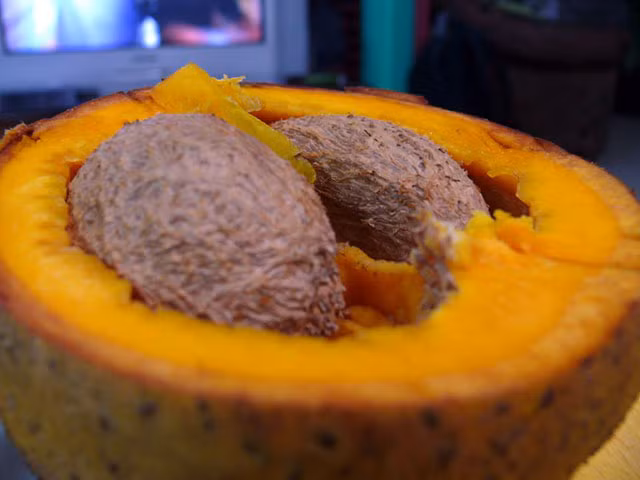 Mỗi trái táo lõi vàng này được cho là có chứa nhiều chất dinh dưỡng và có nhiều tác dụng bảo vệ sức khỏe. Ngoài ăn như trái cây bình thường, chúng thường được dùng làm nguyên liệu trong món kem, đồ uống (soda) hoặc làm mứt, salad. Ngoài ra, táo mammee còn được dùng làm hương liệu để tăng vị ngon của rượu vang.