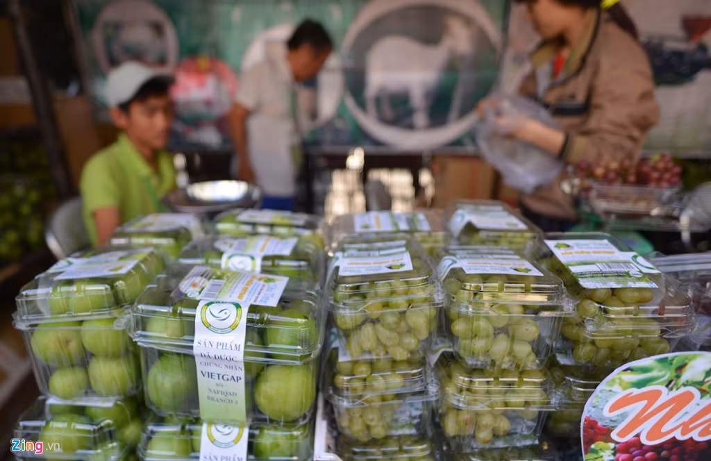 Nho Ninh Thuận được sản xuất theo tiêu chuẩn VietGAP tại các gian hàng thuộc nhiều tỉnh khu vực Nam Trung Bộ.