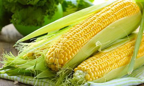 Mo bung bien mat “khong dau tich” nho 1 bap ngo