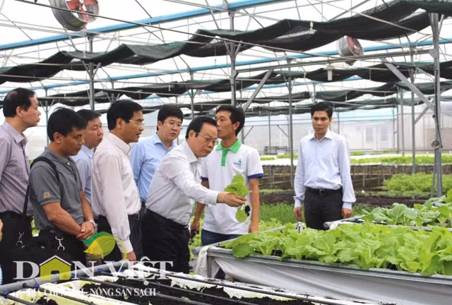 Trong lúc tại nhà vườn, khi nghe ông Lương Trọng Khoa - Chủ tịch Hội đồng Quản trị Công ty Veeteq Farm giới thiệu về mô hình trồng rau sạch, ông Hiển hỏi: "Nếu là rau sạch, tôi ăn tại vườn được không?".