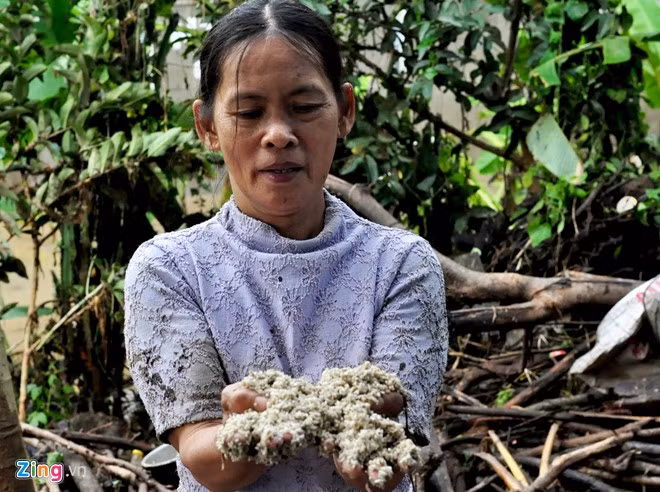 "Chỉ 3 phút, lũ ập vào nhà cao đến 3 m khiến tivi, tủ lạnh, gạo, thóc đều ngập chìm trong nước hỏng hết. Cả ngày nay, người dân trong thôn ai cũng đứ đừ phờ phạc vì dọn dẹp bùn đất nhão khắp nơi trong nhà, ngoài sân", bà Trần Thị Lành mếu máo.