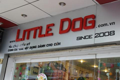 Một Spa chỉ dành cho thú cưng ở Sài Gòn.