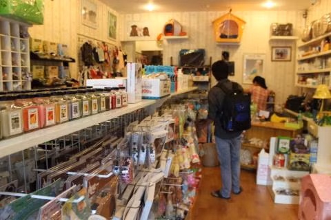 Trong những Spa này có cả dịch vụ làm đẹp và bán cả đồ chơi cho thú cưng.