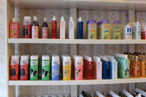 Nhiều mặt hàng nước hoa, sữa tắm đắt tiền dành cho thú cưng được nhập từ nước ngoài về.
