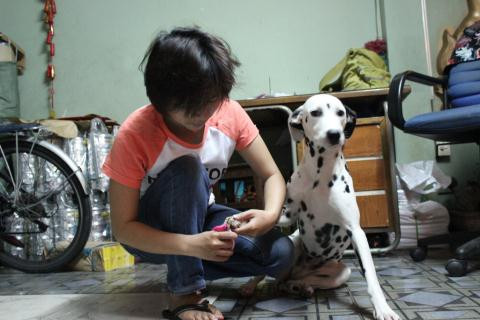 Mỗi lần chăm sóc thú cưng tận nhà các nhân viên được trả khoảng 150 – 200 ngàn đồng/1 dịch vụ.