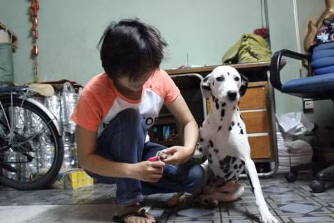 Mỗi lần chăm sóc thú cưng tận nhà các nhân viên được trả khoảng 150 – 200 ngàn đồng/1 dịch vụ.
