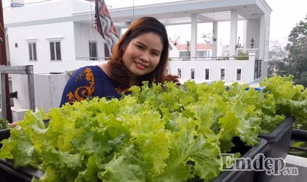 Với mục đích có nguồn rau sạch cho gia đình, đặc biệt là những cây chỉ có ở vùng quê mà chợ phố không bán, vợ chồng chị Thương đã đặc biệt đầu tư thời gian chăm sóc cho khu vườn của mình. Anh chị còn coi đó là một cách để giải trí bởi làm vườn đều là công việc yêu thích của cặp vợ chồng này.