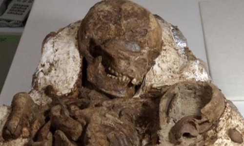 Hóa thạch mẹ ôm con 4.800 tuổi được tìm thấy ở Đài Loan.