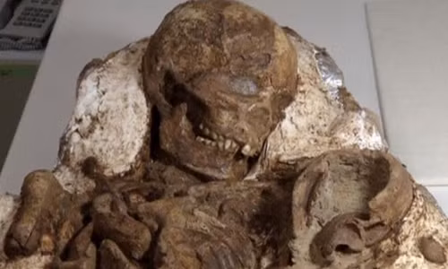 Hóa thạch mẹ ôm con 4.800 tuổi được tìm thấy ở Đài Loan.