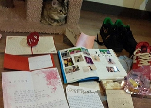 Sàn nhà được ốp gỗ ấm áp.