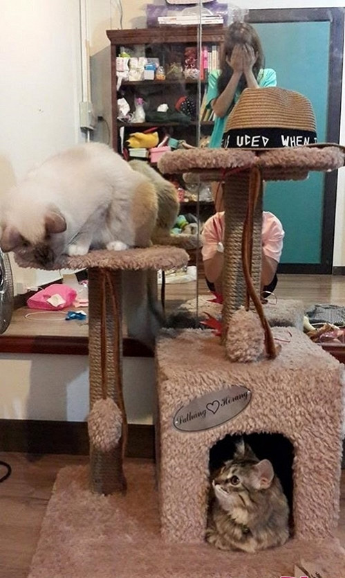 Cũng vì hơi nhỏ nên có phần chật chội, không nhiều tiện nghi phục vụ chủ nhân.