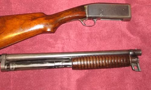 Bi dan gam trung mat khi nhoi thuoc sung ban ga rung