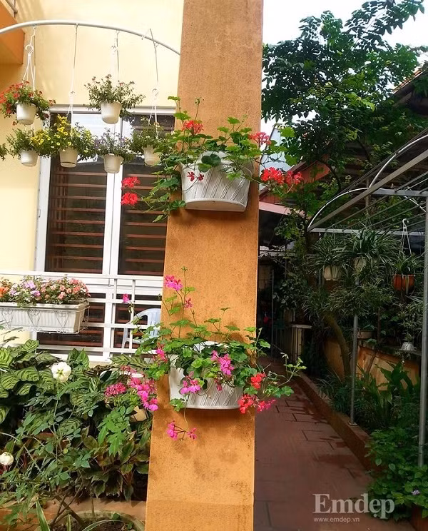 Giúp cây cảnh, hoa lá có thêm nơi 'trú ngụ'.