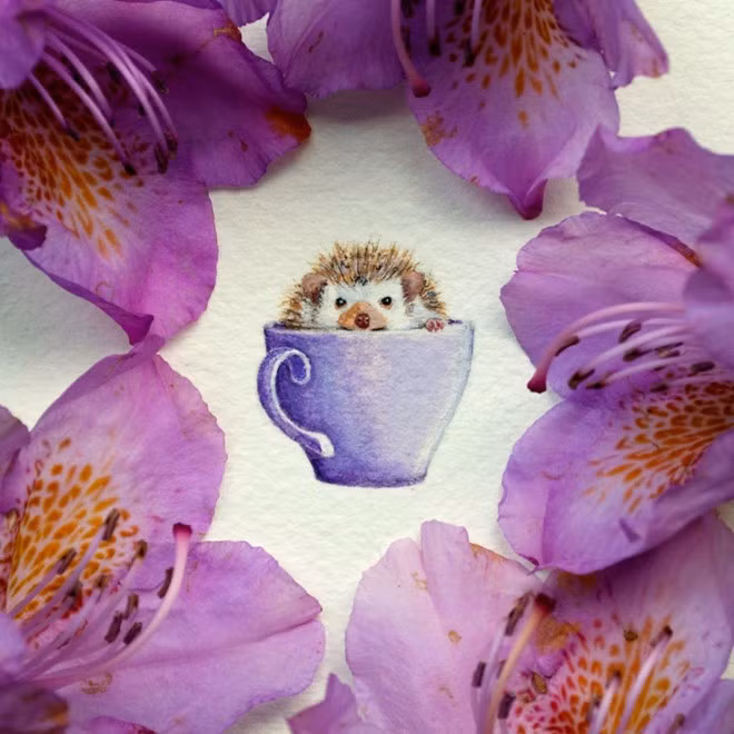 Ban đầu, Rachel Belz chỉ vẽ những đồ vật nhỏ xung quanh mình để làm quà tặng trong dịp sinh nhật hay giáng sinh cho bạn bè và người thân.