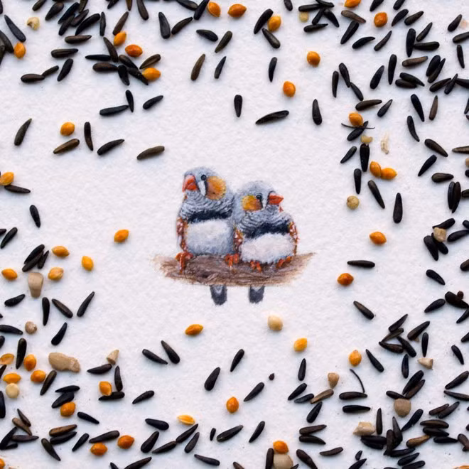 9X chia sẻ, mọi người khi nhận được những món quà đều cảm thấy hạnh phúc và thích thú. Chính điều này đã thúc đẩy Rachel Belz quyết tâm theo đuổi niềm đam mê của mình.