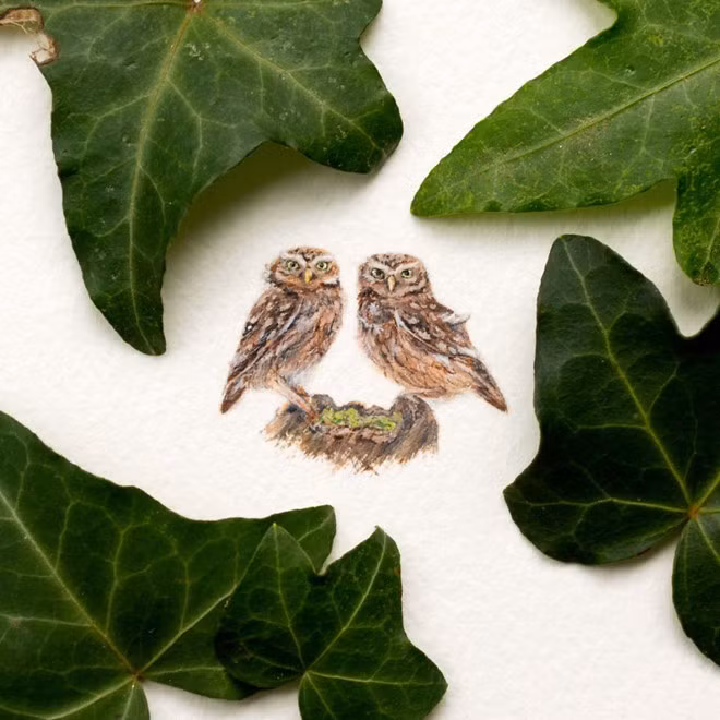 Tác phẩm đôi cú mèo được nhận xét đẹp đến từng chi tiết.