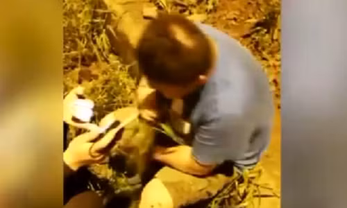 Bi kiem tra nong do con, tai xe nho co nhai ngau nghien