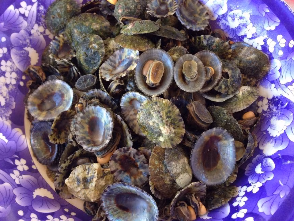 Hải sản tươi ngon ở Cù Lao Câu hấp dẫn du khách.