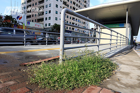 Nguyên nhân dẫn đến thực trạng xuống cấp của các nhà chờ là do ban quản lý dự án trong quá trình thi công đã không rào chắn, bảo vệ công trình, tại hầu hết các nhà chờ đều không có người trông coi, bảo vệ.