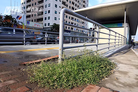 Nguyên nhân dẫn đến thực trạng xuống cấp của các nhà chờ là do ban quản lý dự án trong quá trình thi công đã không rào chắn, bảo vệ công trình, tại hầu hết các nhà chờ đều không có người trông coi, bảo vệ.