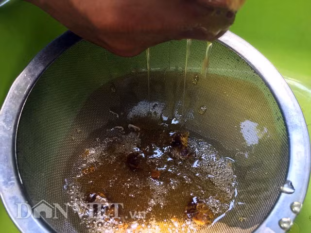 Mật ong rú đang được vắt ra từ phần cuống trên của tổ.