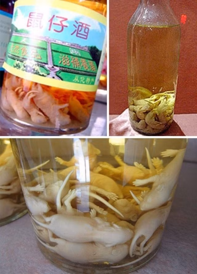 Rượu chuột con Chuột con còn trong bụng mẹ hoặc mới sinh ra sẽ được lấy để ngâm thuốc. Họ cho rằng những sinh vật nhỏ bé đang trong giai đoạn bào thai là bổ dưỡng nhất. Vì vậy những loại rượu này được bày bán với giá rất đắt đỏ tại thị trường Trung Quốc, Hàn Quốc.