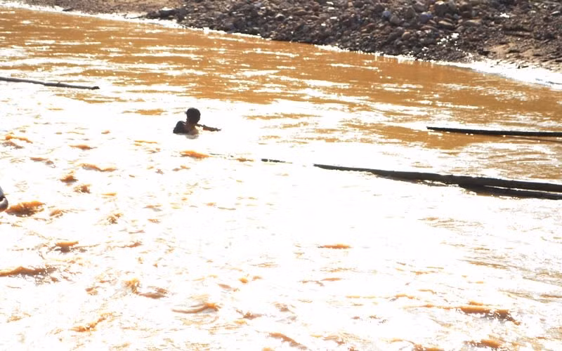 Một người dân vớt gỗ dưới dòng nước lũ.